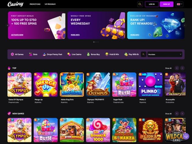Exploring the World of Online Gaming with Casiny